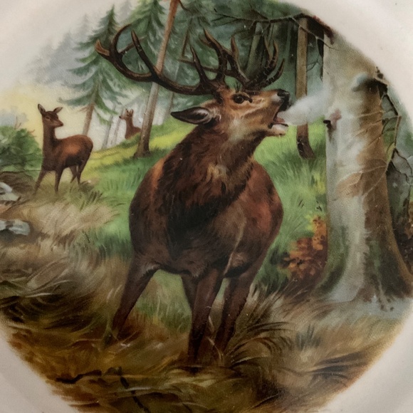 8.5” Bavarian decorative plate. H161 - Picture 4 of 4